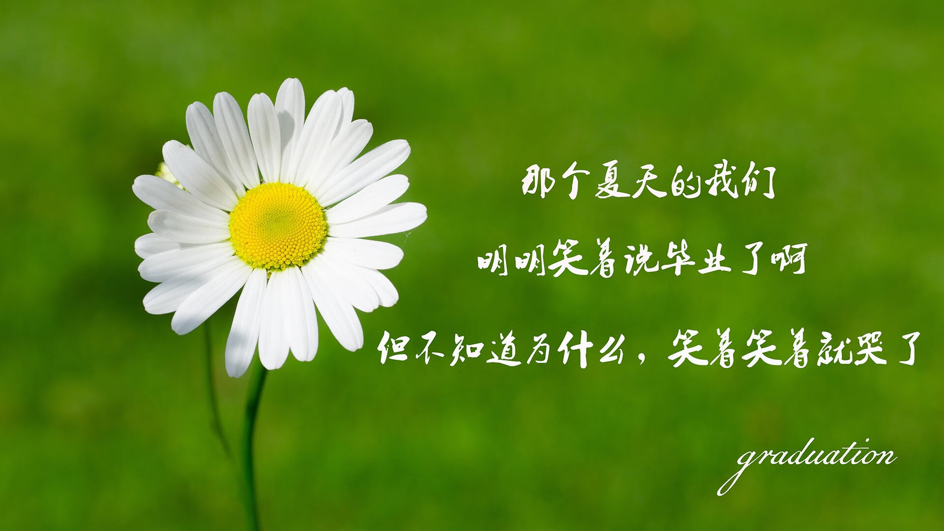 爱游戏综合娱乐-国际手球争霸赛，激情对抗燃爆全场，手球锦标赛比分