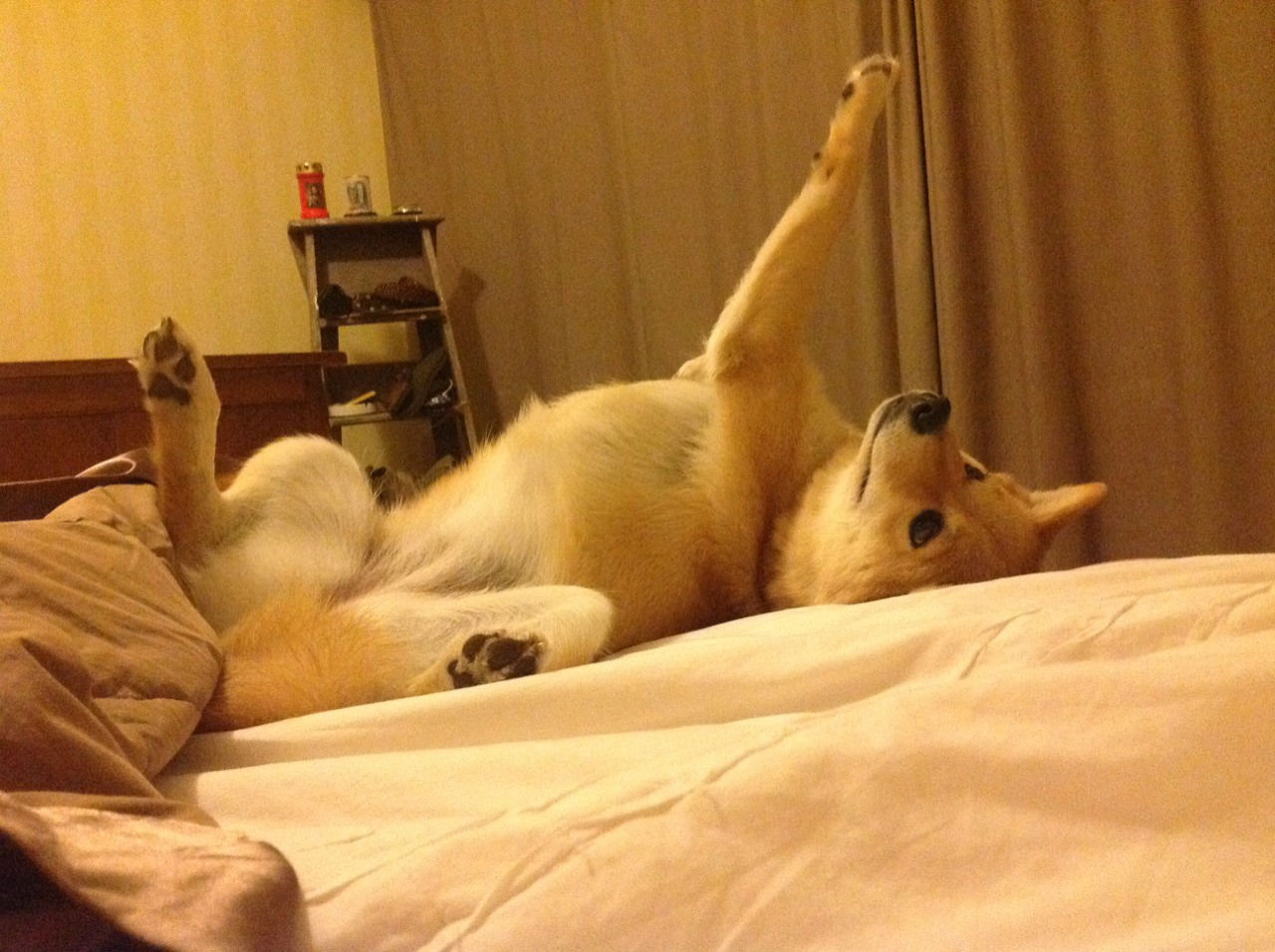 法甲豪门积极与企业合作，推动联赛品牌国际化，法甲豪门球队排名前十