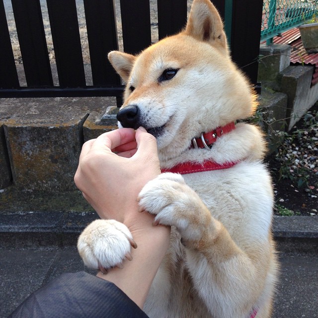 篮球裁判员培训纳入VR模拟技术，2020篮球裁判培训