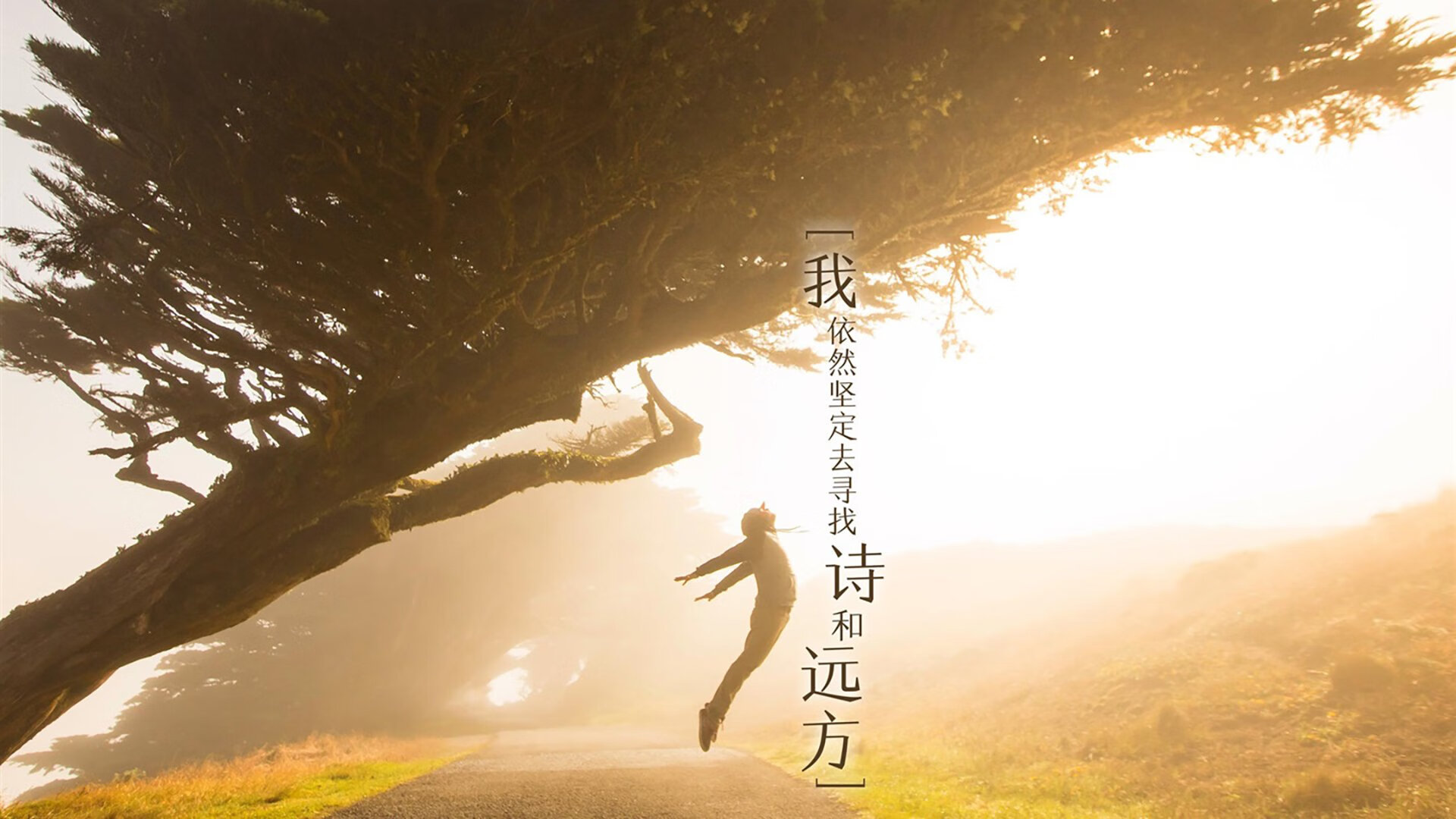 爱游戏娱乐-青少年足球校际比赛精彩纷呈，培养新鲜血液，青少年校园足球联赛规程