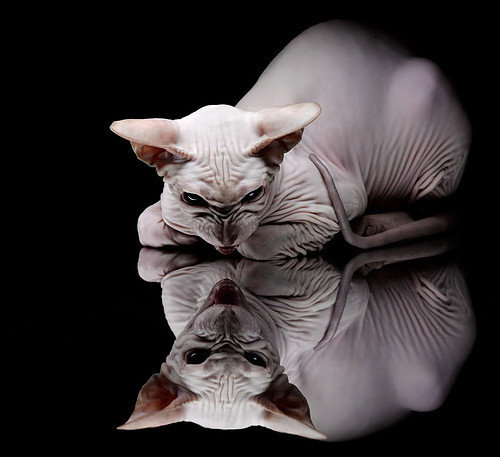 巴罗联防守端稳固，蓝鸟军团全力争分