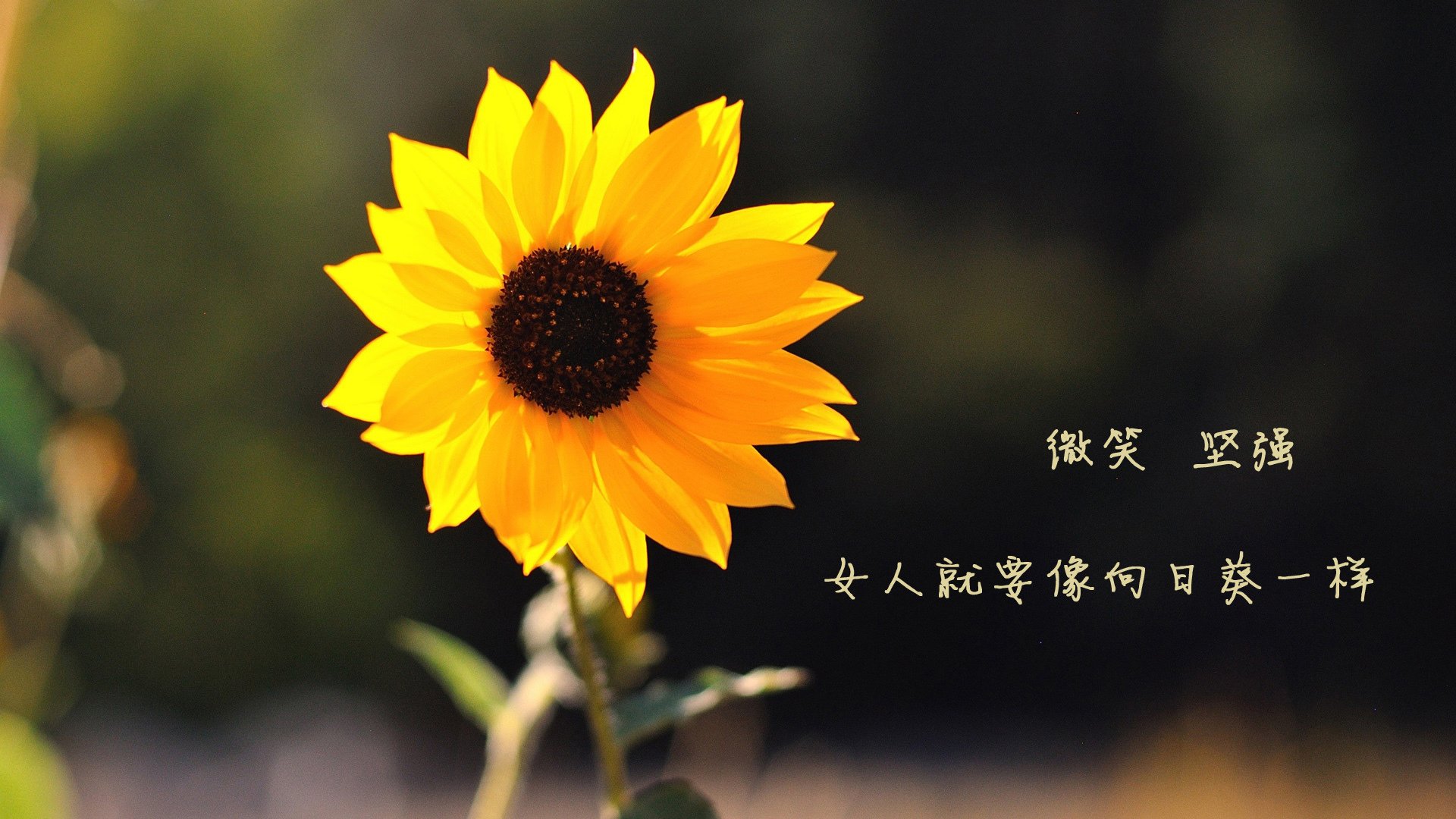 AYX体育官网-湖人队内部采访曝光 球员日常生活揭秘，湖人队描述