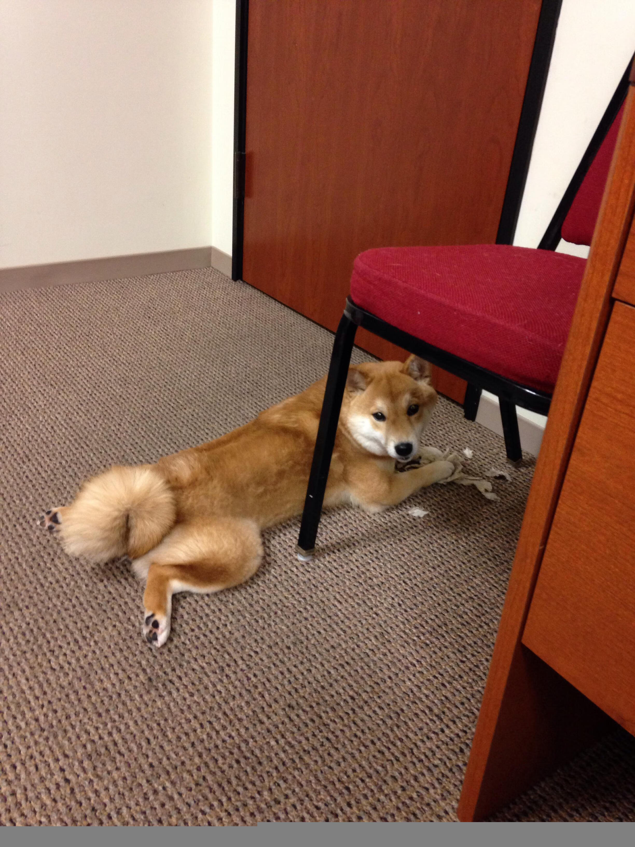 爱游戏app下载-Chinese Taipei表现出色，2024年混合团体世界杯战况解析，2034世界杯