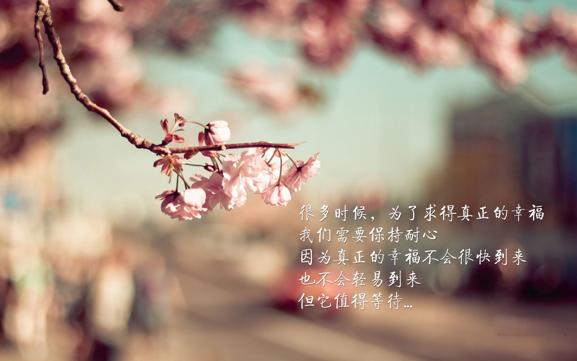 AYX体育-中国青年队在东亚杯中逆袭 精彩表现赢掌声，东亚青年运动会