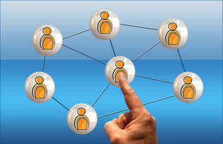 爱游戏中国官方网站平台-体育新闻中心联合高校开展体育传媒创新创业大赛，体育产业创新创业大赛