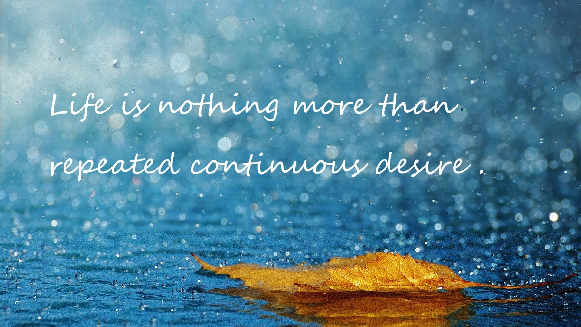 节奏是否是判断一支球队战术成熟度的关键参数，节奏型球员