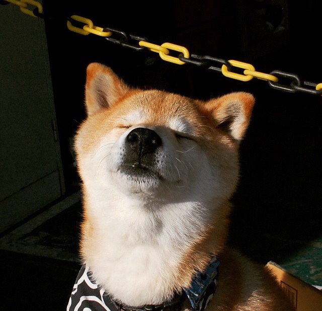 选手伤愈复出状态神勇成比赛关键先生