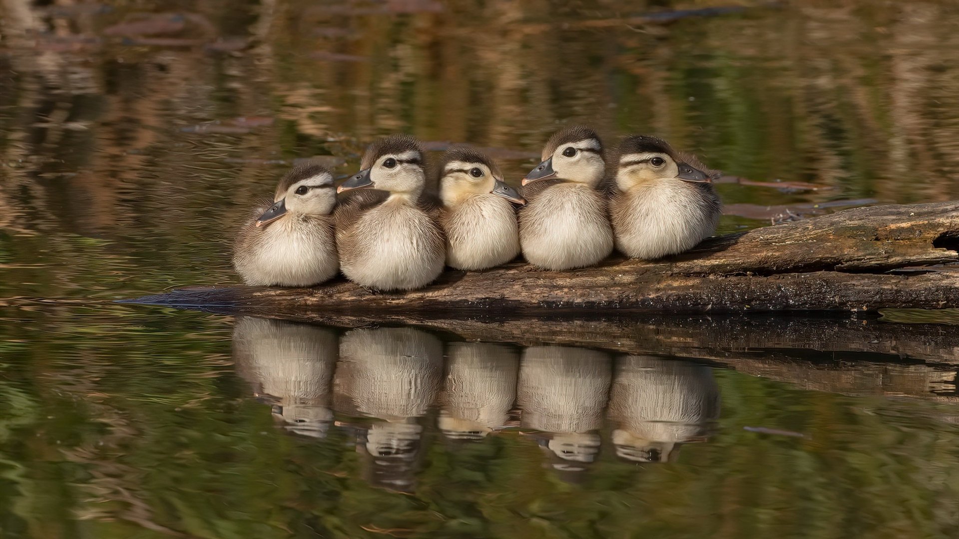爱游戏娱乐平台-团体项目展示协作力量，团体项目展示协作力量有哪些
