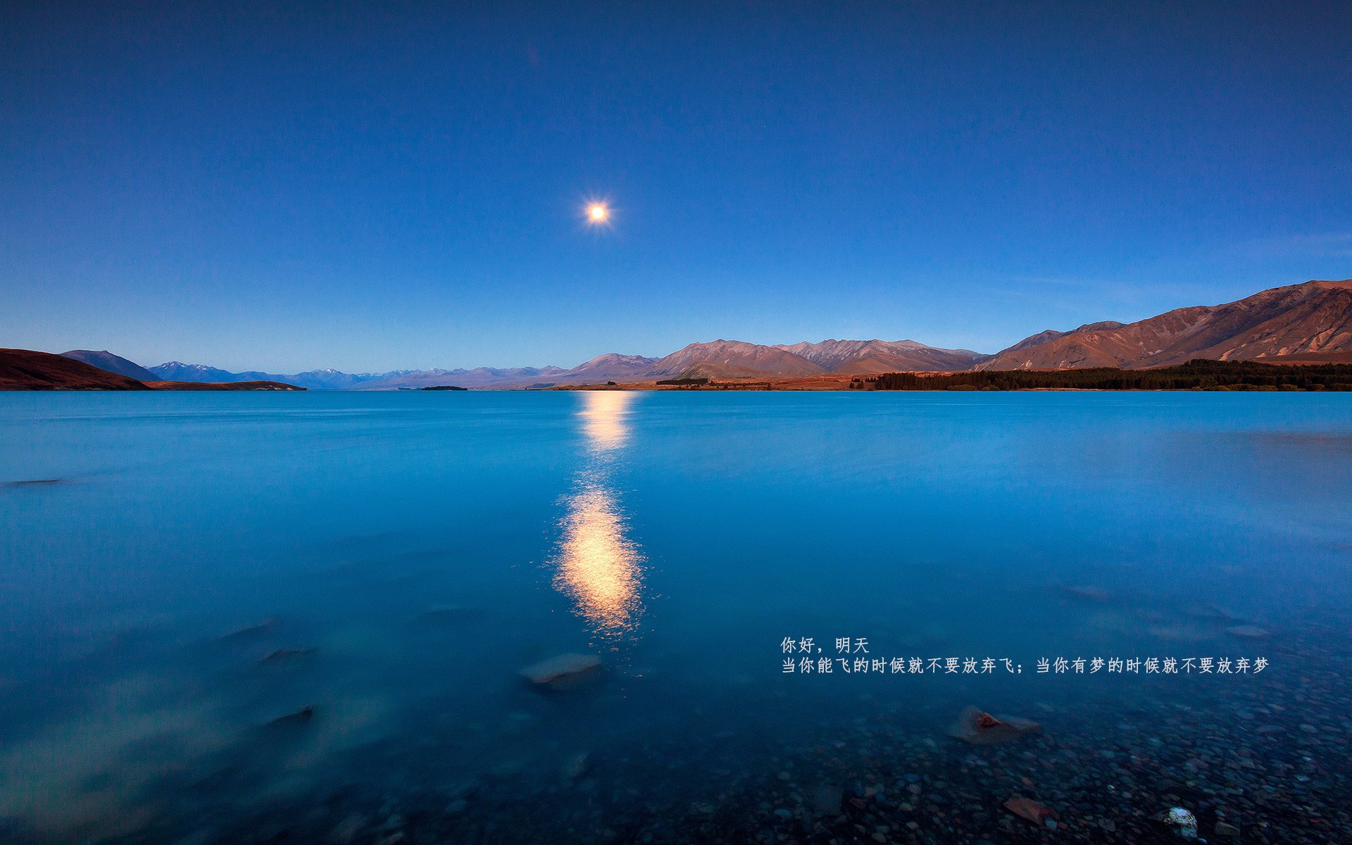 团体项目展示协作力量，团体项目展示协作力量有哪些