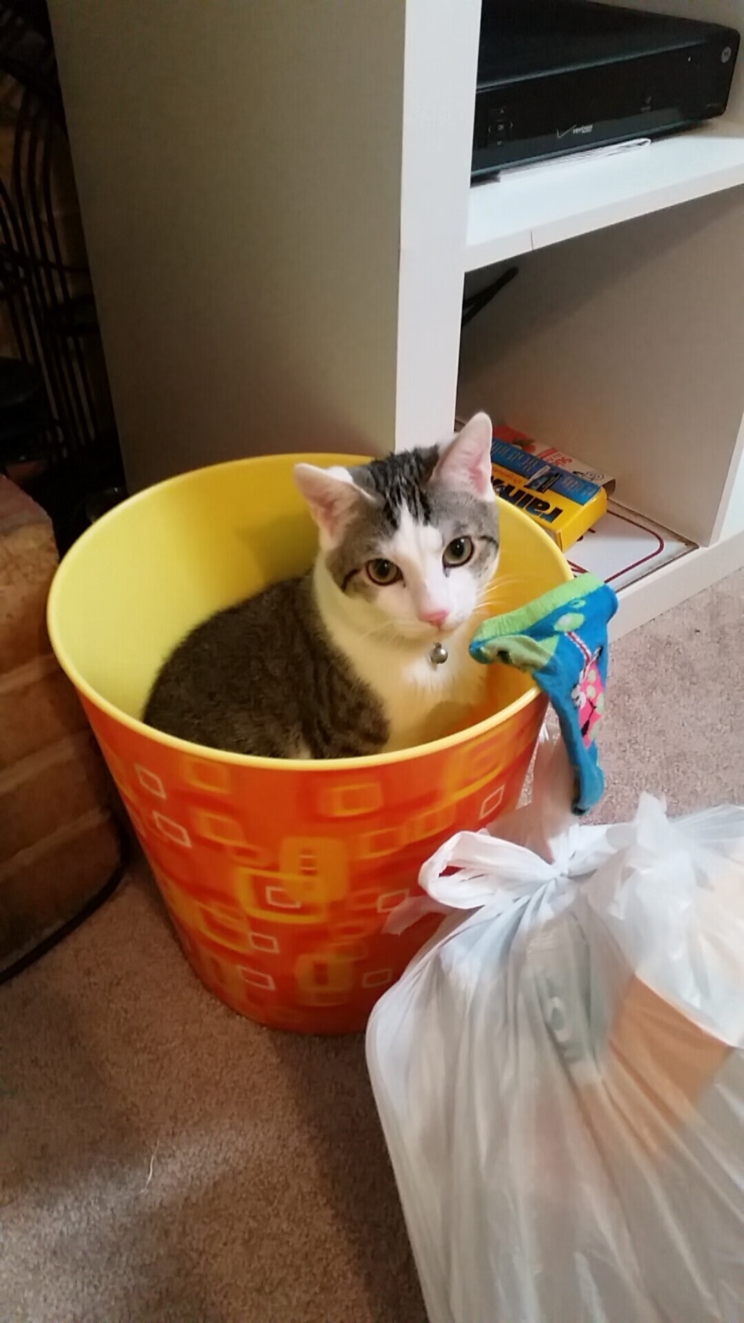 爱游戏娱乐-国王组织观影活动增强团队交流，国王组织观影活动增强团队交流能力