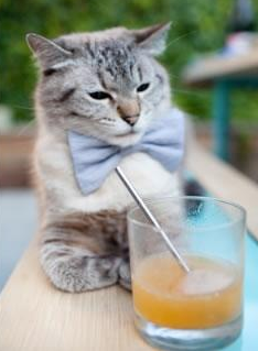 AIYOUXI.COM-水球快攻吉尔吉斯斯坦形成优势