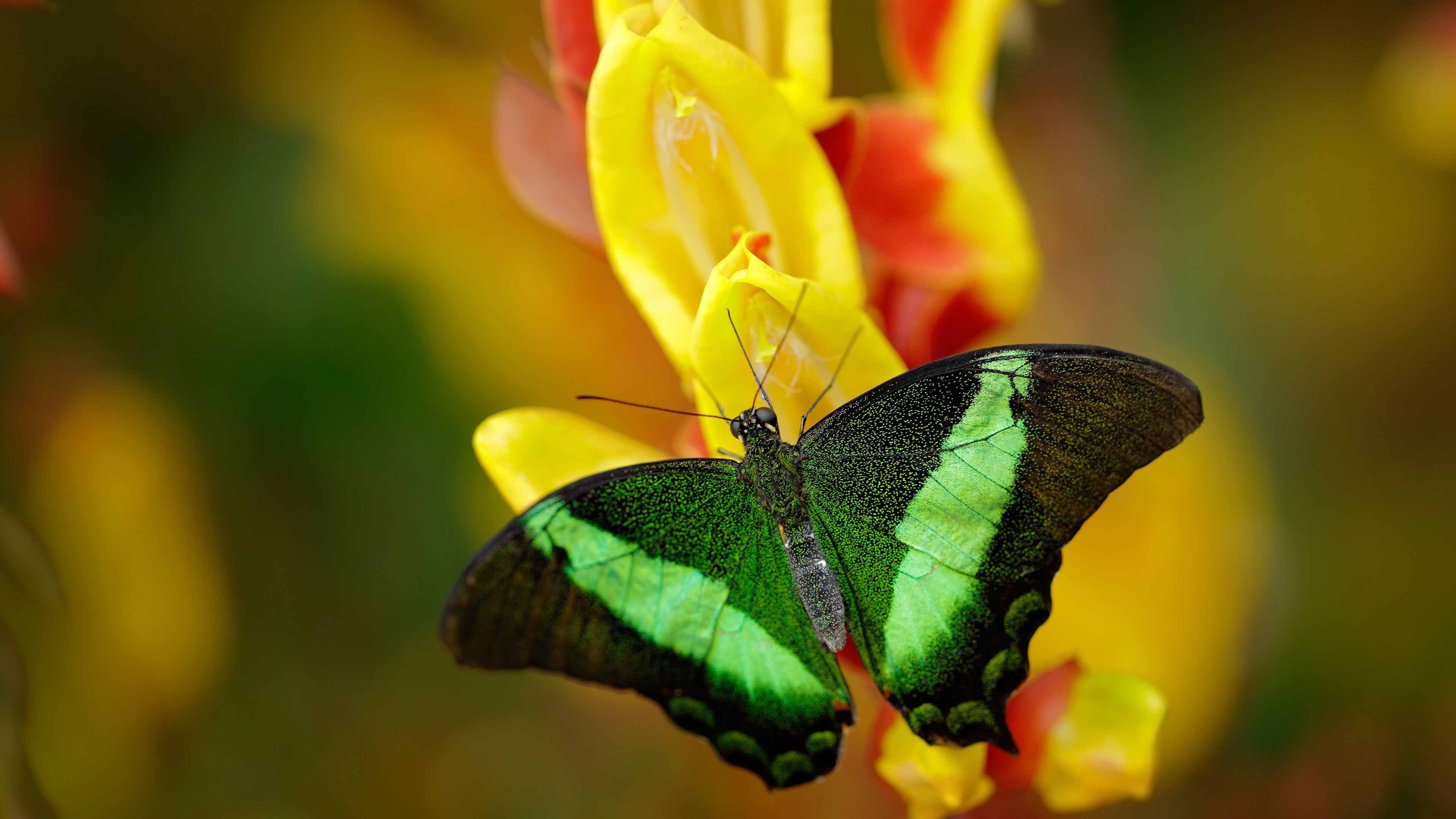 爱游戏综合娱乐-热火季前赛紧张赛程引媒体关注，2021热火季后赛