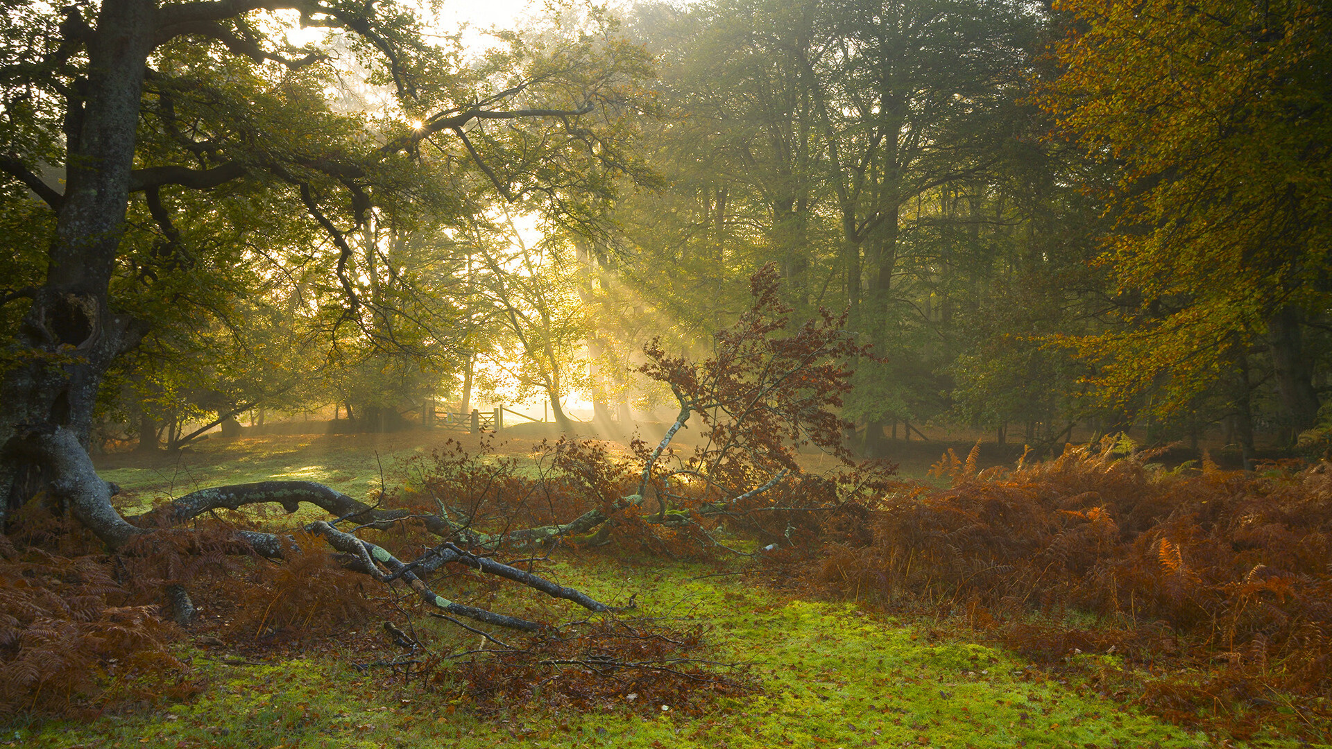 爱游戏下载-绿色环保足球场科技成果开始在多个城市应用，足球环保创意作品