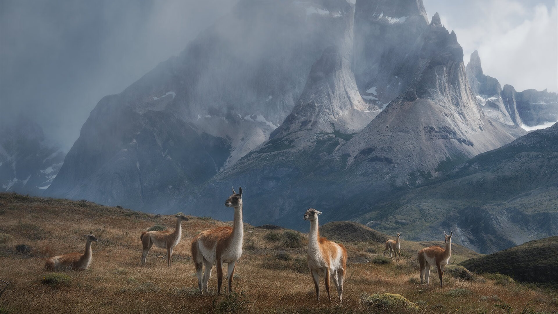 爱游戏体育app-足球转会市场最新动态，足球最新转会信息2020