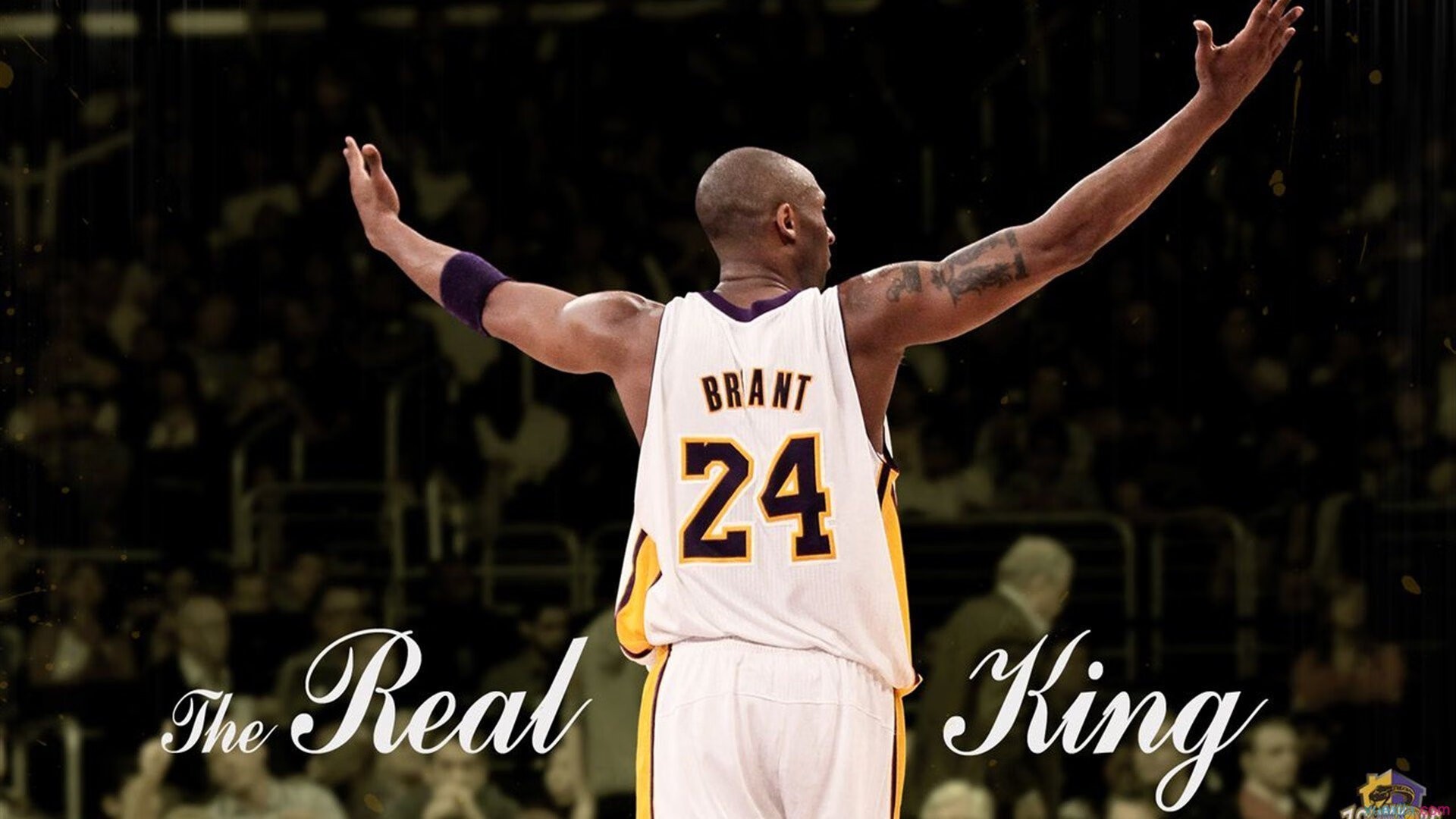 大型深海潜水探索活动，海底奇观等待勇者发现，深海潜水好玩吗